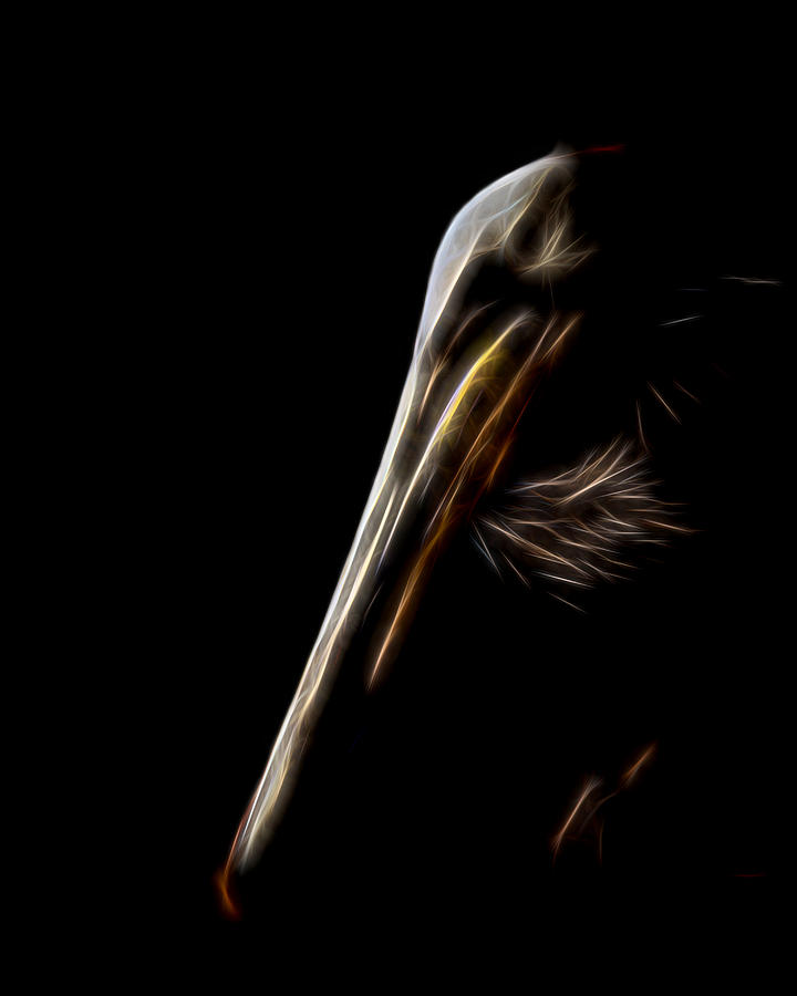 Pelican Portrait Digital Art Digital Art by Ernest Echols