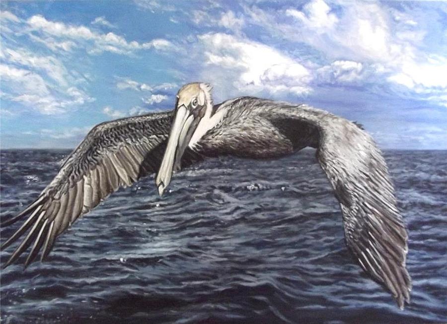 Nature Painting - Pelican by Rachel Kilpatrick