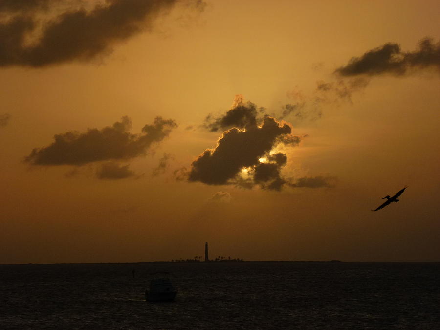 Sunset Photograph - Pelican Reef by Capt  Pat  Moran