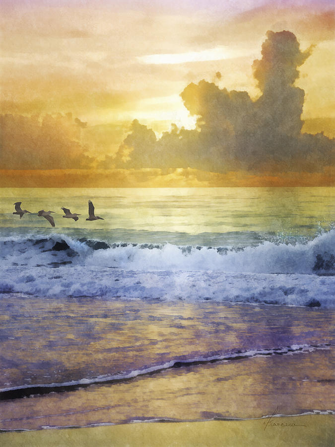 Pelican Sunrise Digital Art by Frances Miller