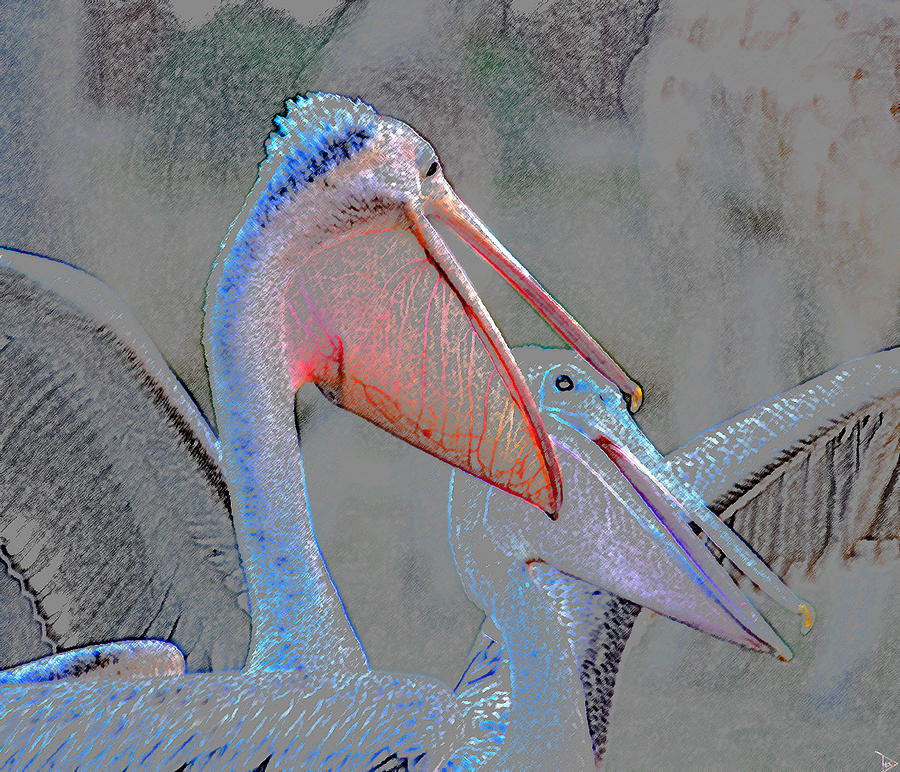 Pelican talk Painting by David Lee Thompson