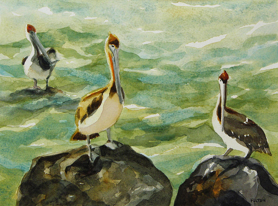 Pelicans by Julianne Felton 9-30-13 Painting by Julianne Felton