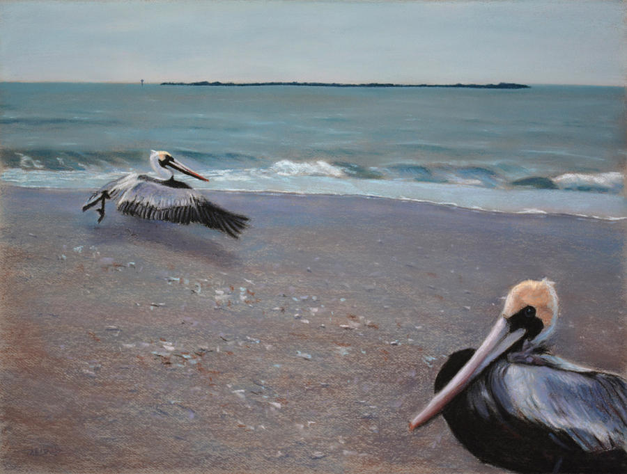 Animal Painting - Pelicans by Christopher Reid