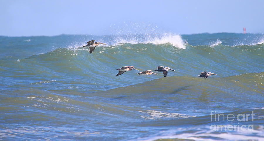 Pelicans Flying Between Waves 3788 Photograph by Jack Schultz