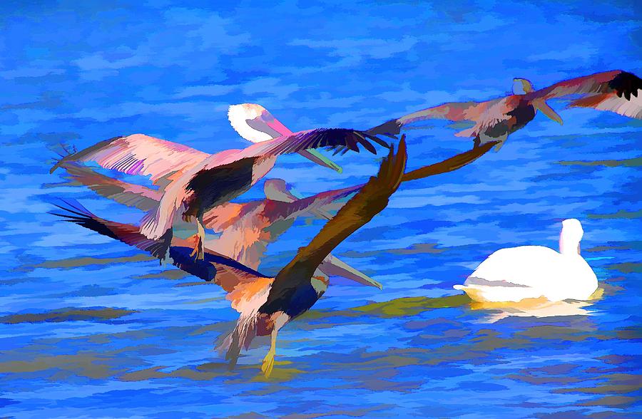 Pelican Photograph - Pelicans in Flight by Audreen Gieger