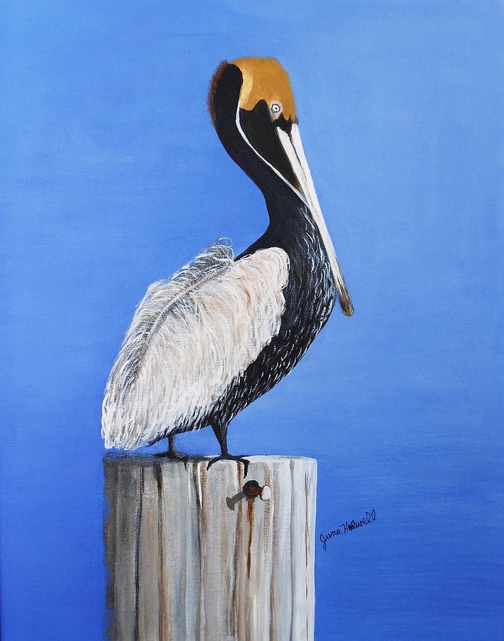 Pelicans Lookout Painting by June Holwell - Fine Art America