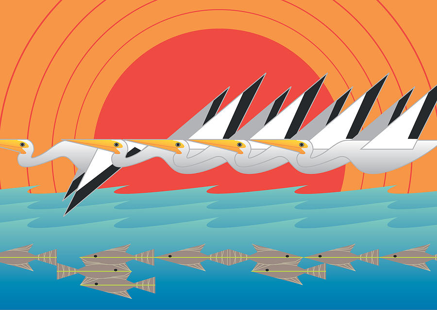 Pelicans by Marie Sansone Pelicans by Marie Sansone