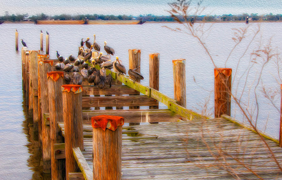 Pelicans on Biloxi Backbay Photograph by Sandra Lynn