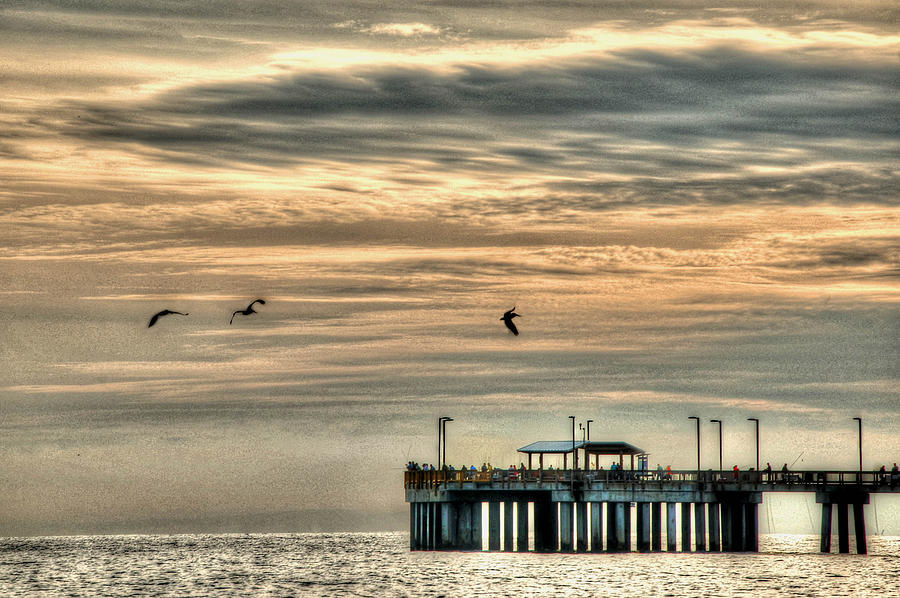 Pelicans over the Pier Photograph by Michael Thomas