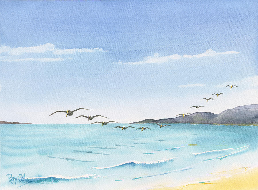 Pacific Ocean Painting - Pelicans by Lynda Lang