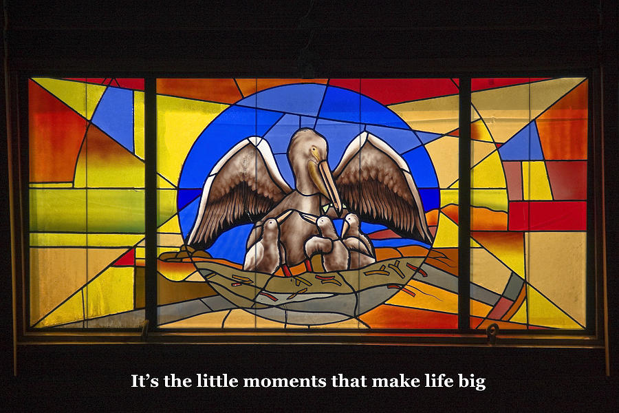 Pelicans Stained Glass with Words Photograph by Sally Weigand