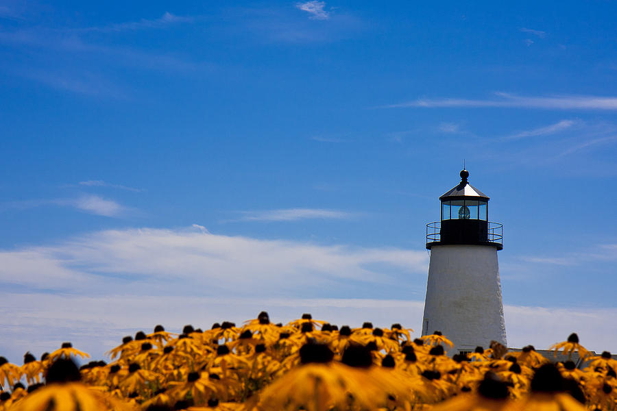 Lighthouse Photograph - Pemaquid Lighthouse by Oscar Dean