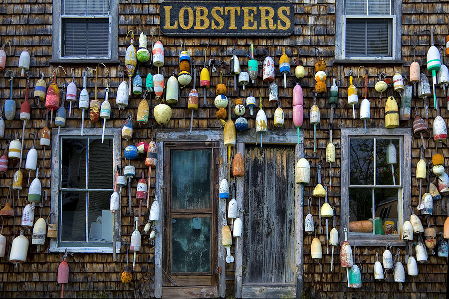 Pemaquid Lobster Shack Photograph by Diana Powell