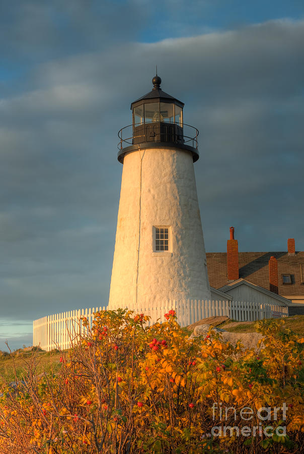 Pemaquid Point Light III Photograph by Clarence Holmes