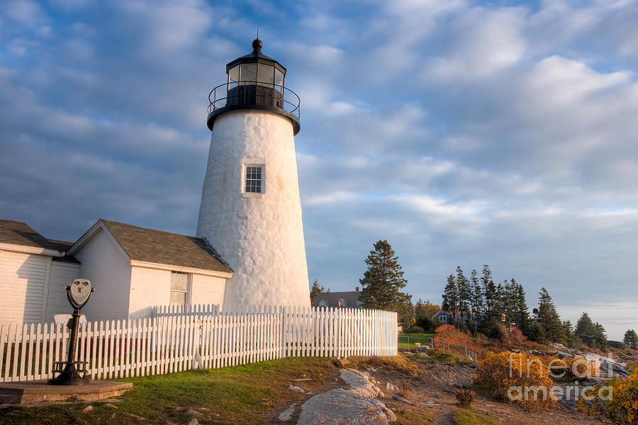 Pemaquid Point Light V Photograph by Clarence Holmes