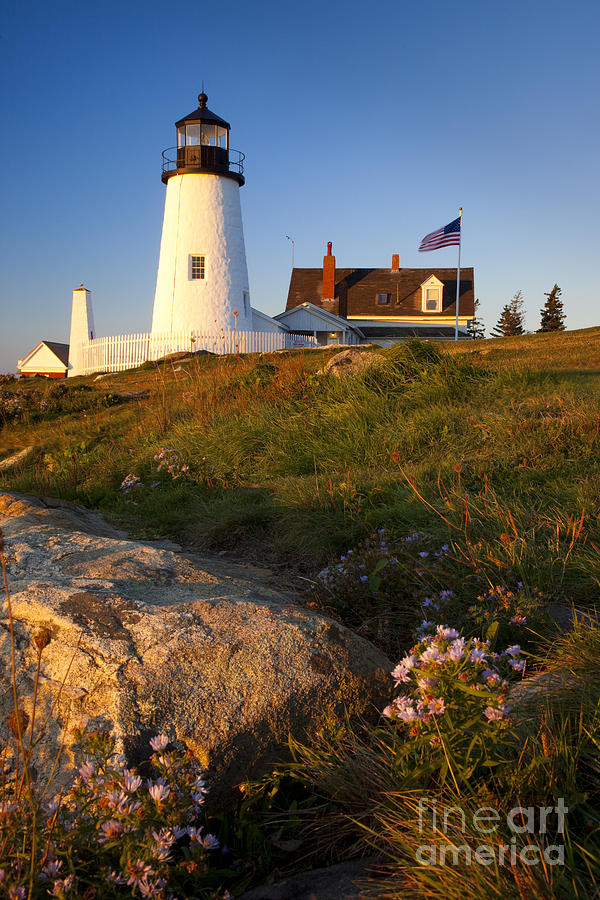 Pemaquid Point Lighthouse Photograph by Brian Jannsen