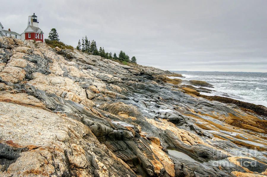 Pemaquid Point Lighthouse Photograph by David Birchall