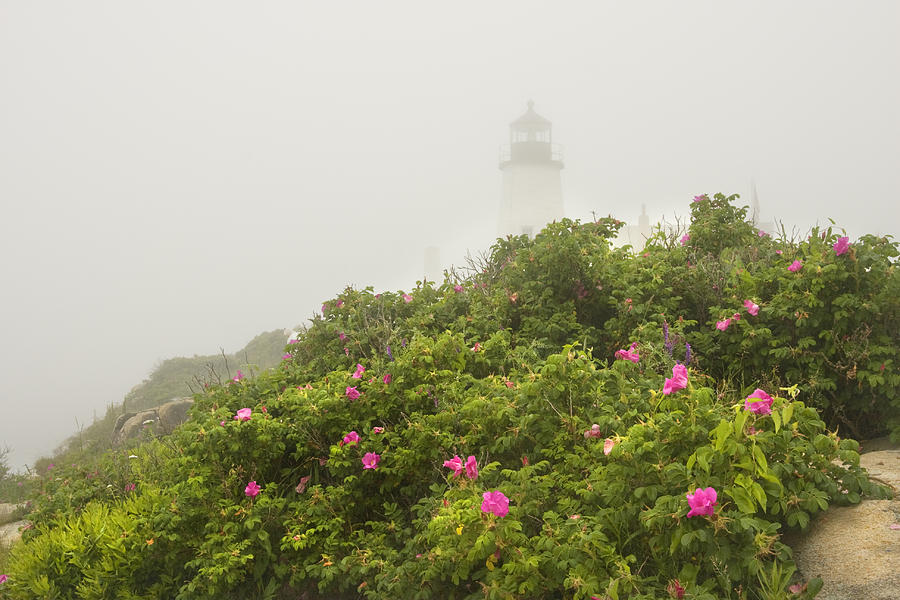 Pemaquid Point Lighthouse in Fog on the Maine Coast Photograph by Keith Webber Jr