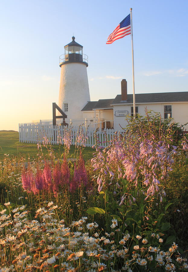 Pemaquid Point Lighthouse Summer Flowers Photograph by John Burk