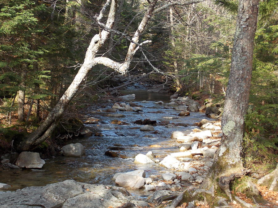 Pemigewasset River Photograph by Catherine Gagne