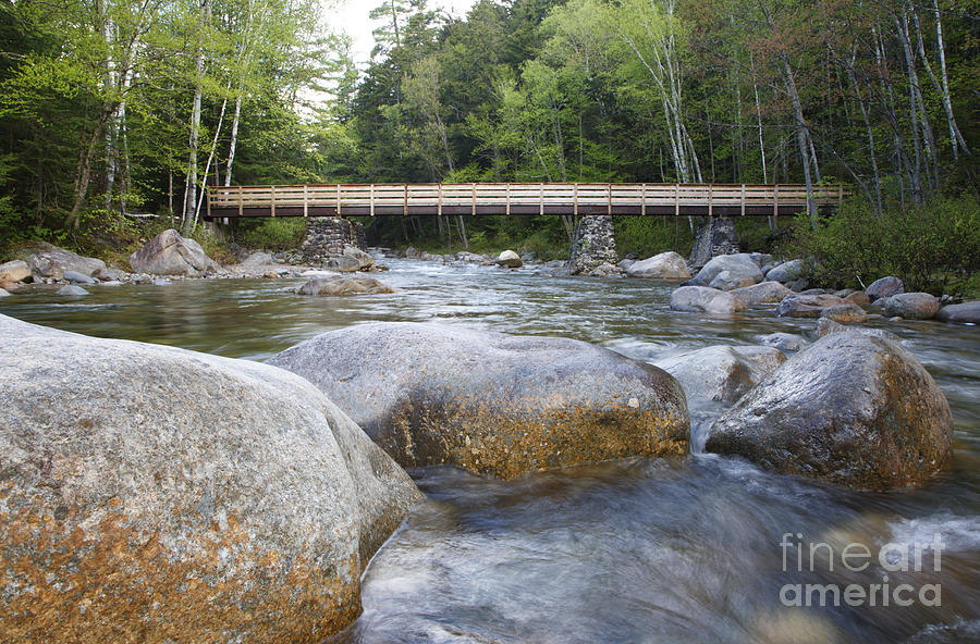 Pemigewasset Wilderness - White Mountains New Hampshire Photograph by Erin Paul Donovan