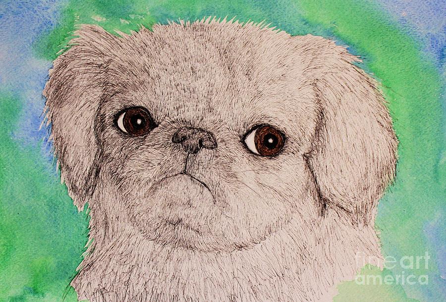 Pen and Ink Pug Painting by Melinda Etzold
