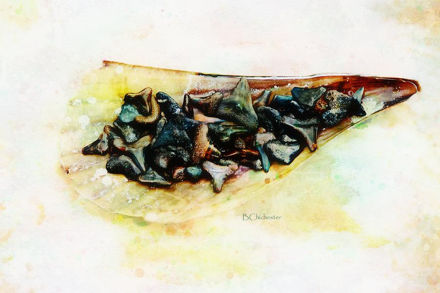 Pen Shell And Sharks Teeth Painting by Barbara Chichester