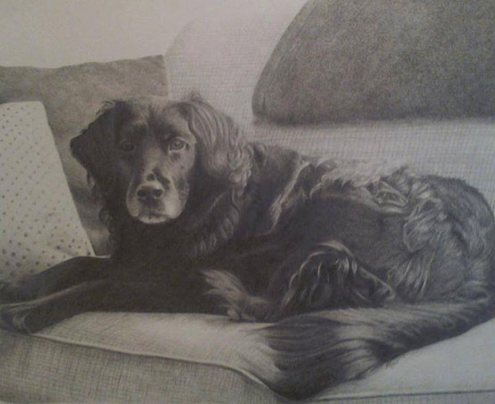 Black And White Drawing - Pencil Drawing by Elizah Monai