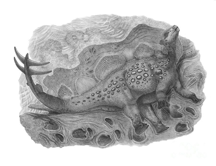 Black And White Digital Art - Pencil Drawing Of Hesperosaurus Mjosi by Vladimir Nikolov