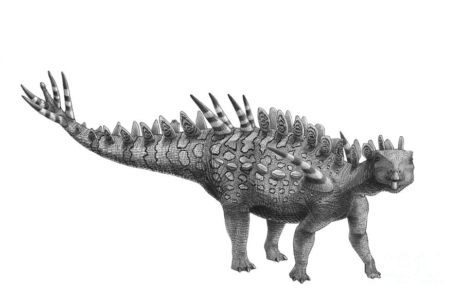Black And White Digital Art - Pencil Drawing Of Huayangosaurus by Vladimir Nikolov