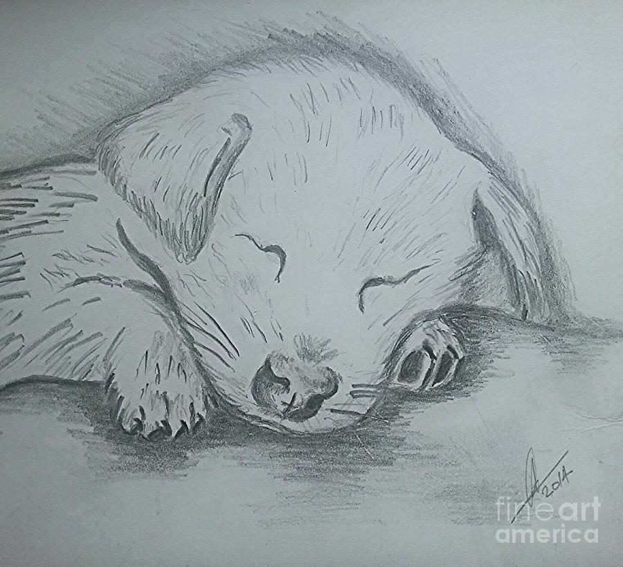 Pencil Puppy Drawing