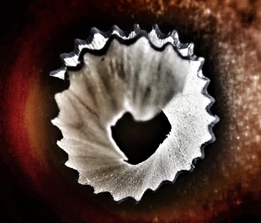 Nature Photograph - Pencil Shaving Heart by Marianna Mills