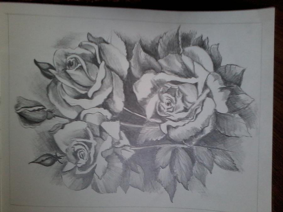 Rose Ceramic Art - Pencil Sketch by Ipsita Chinara