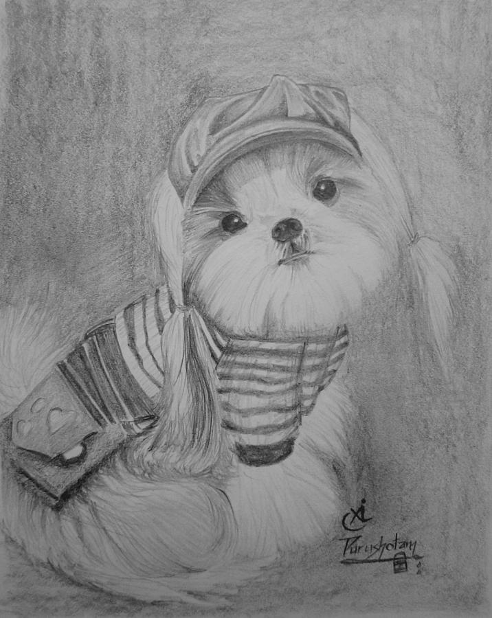 cute puppy drawing in pencil