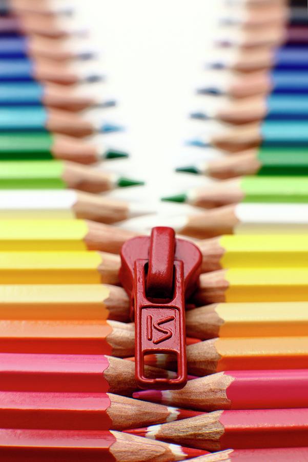 Crayon Photograph - Pencil Zip by Ian Hooton/science Photo Library