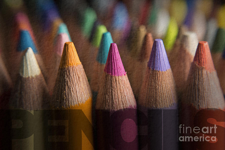 Pencils Photograph by Art Whitton