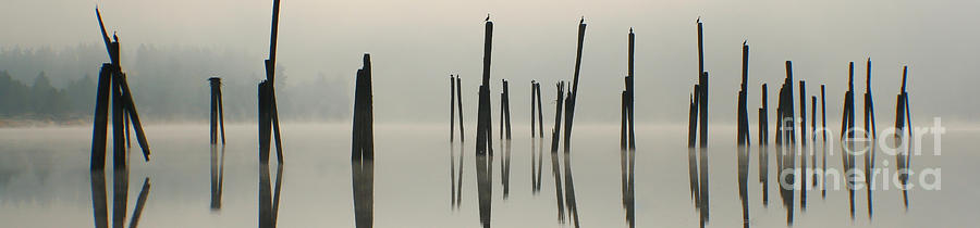 Pend Oreille Pilings Pano Photograph by Idaho Scenic Images Linda Lantzy