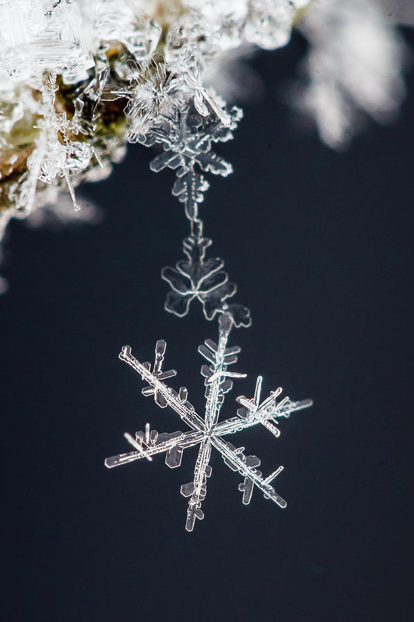 Winter Photograph - Pendant by Sami Ritoniemi