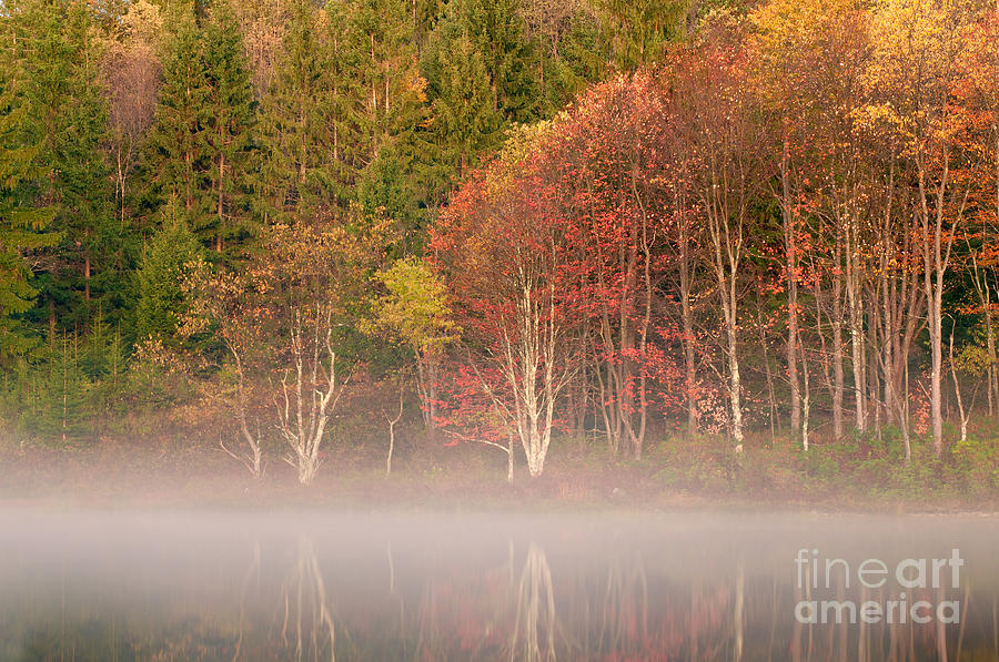 Fall Photograph - Pendleton Lake D300_15477 by Kevin Funk