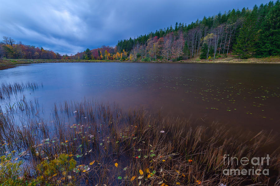 Fall Photograph - Pendleton Lake D80001084 by Kevin Funk