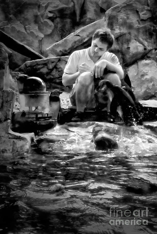 Penguins and Caretaker at Audubon Aquarium of Americas New Orleans Photograph by Kathleen K Parker