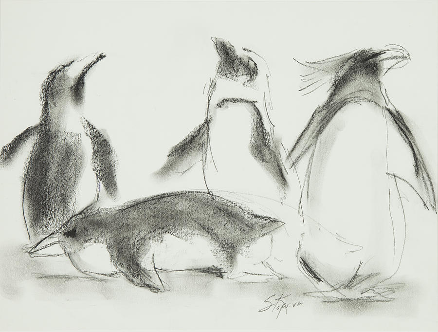 Penguins Charcoal Study Drawing by Greg Kopriva
