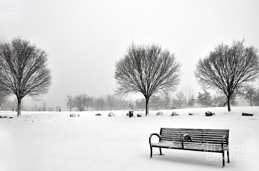 Penn Treaty Park Bench Photograph by Andrew Dinh