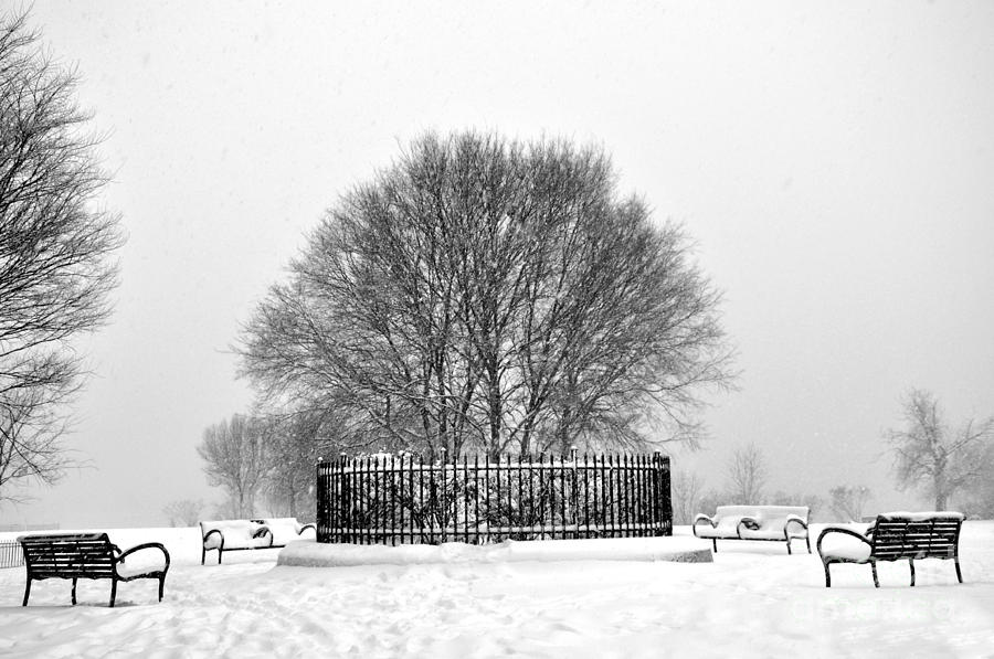 Penn Treaty Park Circle Photograph by Andrew Dinh