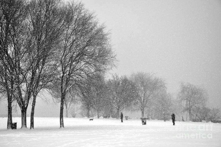 Penn Treaty Park Goers Photograph by Andrew Dinh