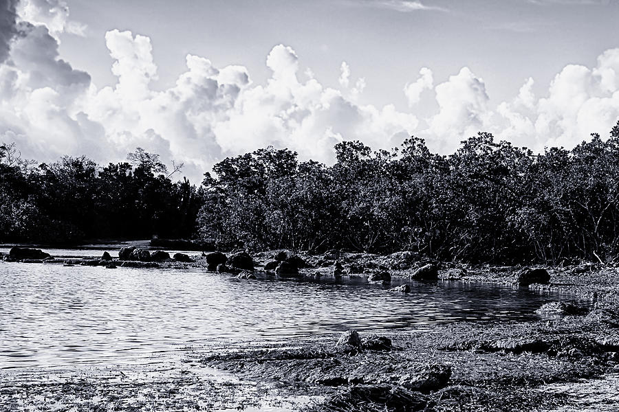 Landscape Photograph - Pennekamp Coral Rocks by Vaughn Garner