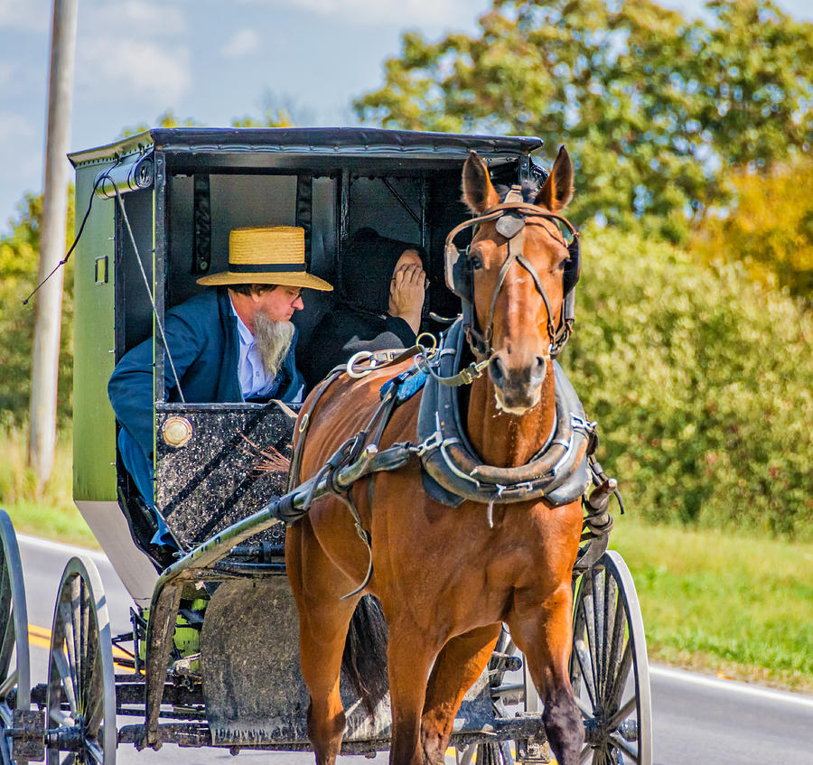 Pennsylvania Amish 2 Photograph by Steve Harrington - Fine Art America