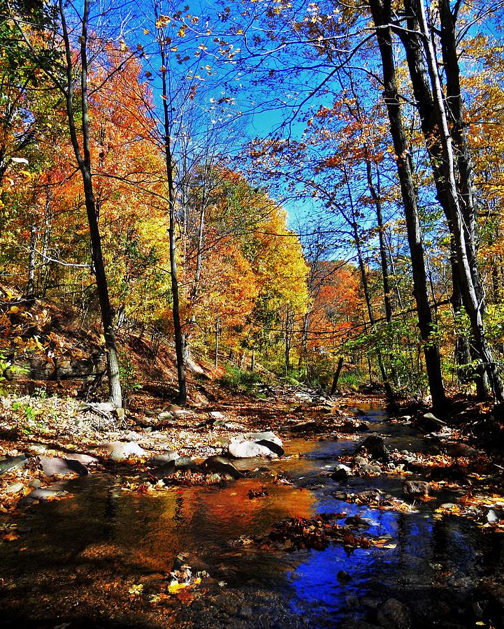 Pennsylvania Autumn Photograph by Benjamin Yeager