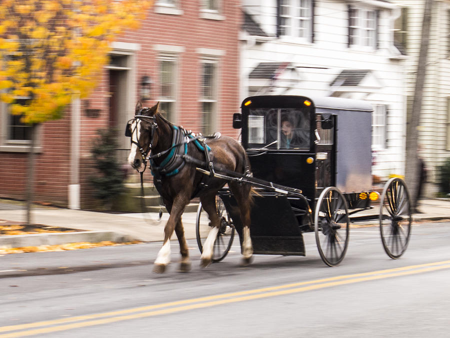 Pennsylvania Dutch Carriage Photograph by Paul Ross