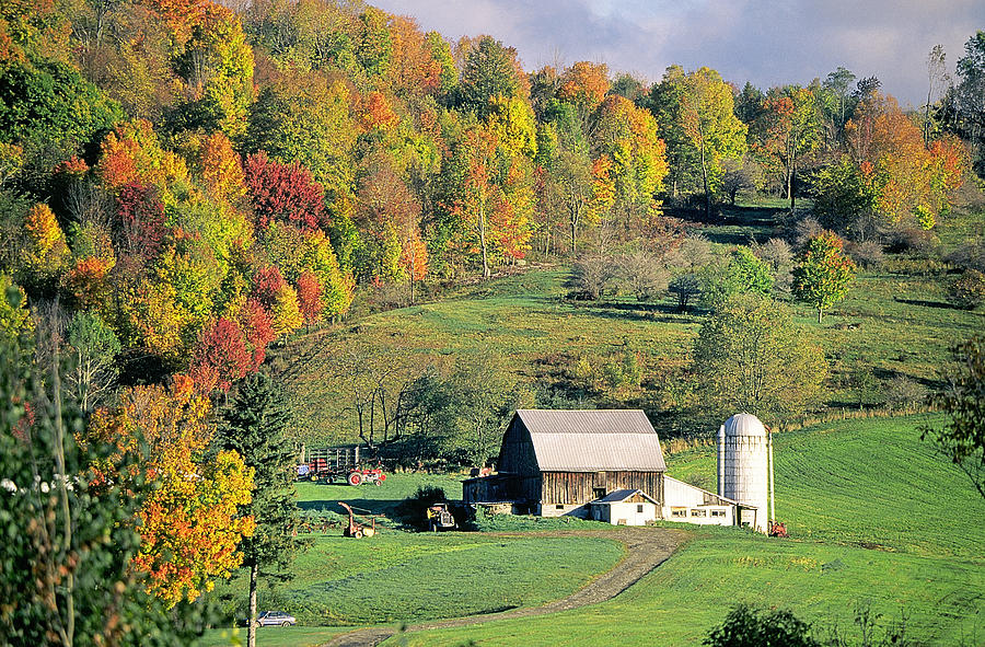 Image result for PA farm country